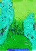 Verde disinganno - Olio - tecnica mista su tela