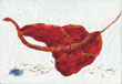 Seconda lett - 